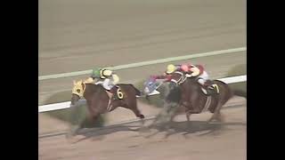 タマモクロス 1988年 第36回阪神大賞典(GII) (優勝馬：タマモクロス、ダイナカーペンター同着) (実況：民放版)