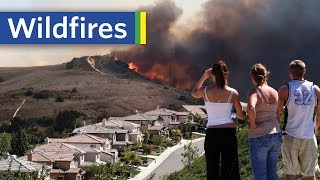 How Bad Planning Makes Wildfires Worse
