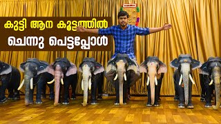 കുട്ടി ആന കൂട്ടത്തിൽ ചെന്നു പെട്ടപ്പോൾ | Cement Statue of Elephant | Ottapalam Trip Part 2