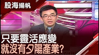 只要靈活應變 就沒有夕陽產業？有危機就有轉機!台灣夾縫求生?│20190622-5股海揚帆*王夢萍│非凡商業台 台視財經台