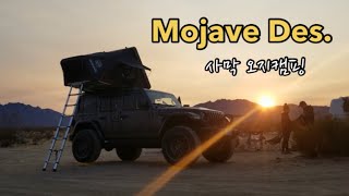 [뽀실언니] 미국 캠핑 | 캘리포니아 캠핑 | Mojave Desert | Route 66