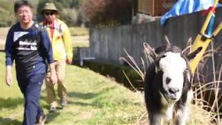 香春町の散歩みち