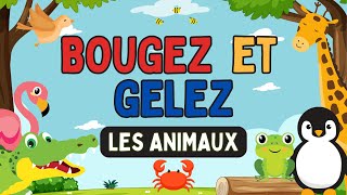 PAUSE ACTIVE (APQ): BOUGEZ et GELEZ -  LES ANIMAUX// Brain Break (DPA): Move \u0026 Freeze - Animals