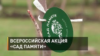 Всероссийская акция «Сад памяти»