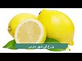 موعد زراعة الاشجار أوقات زراعة الاشجار المثمرة