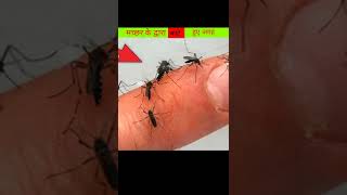 😯मच्छर के कटे हुए जगह का IMAGE || IMAGE OF MOSQUITO BUT SPACE #shorts #short