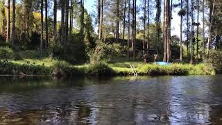 Bellinger River Kayak  at MOO RIVER FARM Bellingen