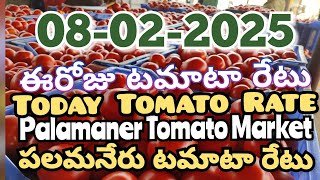 పలమనేరు 🍅🍅🍅టమాటో మార్కెట్ ధరలు 08-02-2025 ||ఈ రోజు టమోటా ధర Palamaner Market||@ckgowthamvlogs