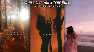 Girls Like You x Tere Bina Remix Whatsapp Status | New trending 4k whatsapp status |