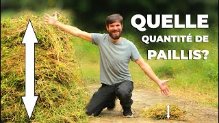 Quelle QUANTITÉ de paillis mettre dans vos jardin?