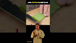 کنجکاوی 91 - چطوری موز رو بکاریم که واقعا ریشه بده ؟