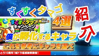 【必見🔥】僕ならこの4体を選ぶ　城とドラゴン