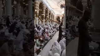 Zuljana Imam Hussain a.s | 9 Muharram, madeena shareef main dua #video #1k