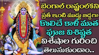 బెంగాల్ రాష్ట్రంలోని కాళీ మాత పూజ విశిష్టత | Kali Mata Puja in Bengal state | ShriTV Spiritual