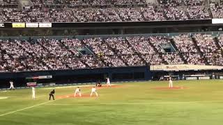 千葉ロッテマリーンズ 井口資仁 引退試合劇的ホームラン