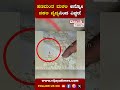 ಈ ನಕಲಿ ಜೇನು ತುಪ್ಪ ನೀವು ತೊಗೊಳ್ತಿದೀರಾ hanumantha malali fake doctor fake treatment vijaya times