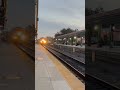 the tri rail morning express passes through deerfield beach