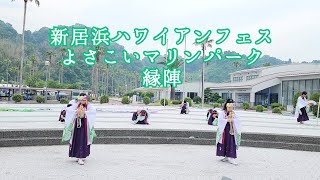 新居浜ハワイアンフェスタ2023🌺よさこいマリンパーク🌊縁陣✨