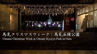 a  Christmas Festival of Nara ｜Umami Kyuryo Park