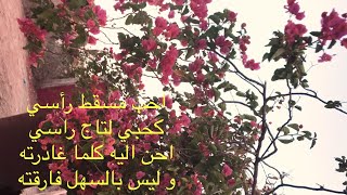 اجيو تكتاشفو معايا بلادي الاصلية البسيطة💕🇲🇦 👌🏻✨