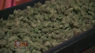Maryland’s First Medical Marijuana Dispensary Could Start Seeing Patients Today