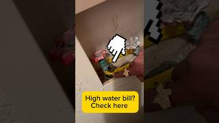 High Water Bill