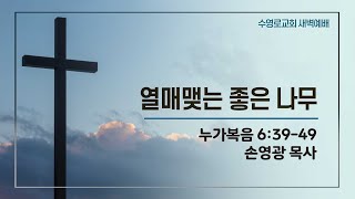 열매맺는 좋은 나무 | 눅 6:39-49 | 손영광 목사 | 화새벽 | 25.2.25