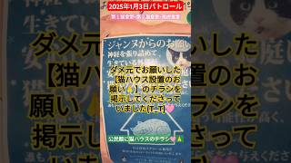 【2025年1月3日パトロール】第１猫食堂→第２猫食堂→美虎食堂🩷3分ショート挑戦🙏音楽なしです🙏