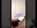 献血で疲労回復？！ 献血 献血ダンサー ダンス shorts