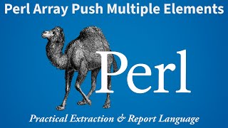 Perl Arrays Explained Fast: push Multiple Elements Into an Array (Beginner-to-Practical Guide)