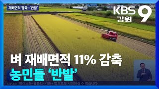 벼 재배면적 11% 감축…농민들 ‘반발’ / KBS  2025.01.24.