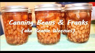 Canning Beans & Franks (aka Beanie Weenies)...no soak method