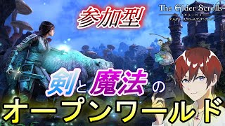 #21【冬休みラスト】剣と魔法の世界へ！！！【エルダースクロールズオンライン - TESO - /DK♀_CP101～】