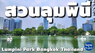 สวนลุมพินี​ กรุงเทพ​ | Lumpini Park Bangkok​ Thailand​ | Sunny​ ontour​ in​ bangkok​