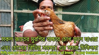 মুরগির বাচ্চার চোখ ফুলা, এর সহজ চিকিৎসা Swollen eyes of chickens, easy treatment of eye problems