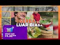 kejadian viral yang bikin heboh di mana mana kisah viral specta setiap hari 19.30 wib di gtv