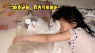 被自己家猫嫌弃不会带孩子是一种什么体验