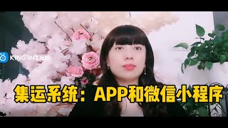 #集运系统  集运系统APP和微信小程序   #微信小程序  #APP