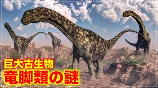 超巨大古生物 竜脚類の謎に迫る