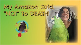 How I Brought My #Yellow-naped_Amazon Back From Death's Door! #Parrot_Bliss