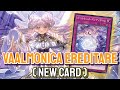 New Vaalmonica Trap Card!! YGOPRO - Vaalmonica Ereditare | Vaalmonica Jul.2024 | New Card