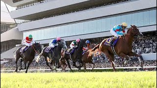 URBAN CHIC wins the 2024 Japanese St. Leger (G1 Kikuka Sho)