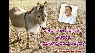 Why Did Jesus Ride A Donkey - యేసు గాడిదనే ఎక్కి ఎందుకు యెరూషలేము వెళ్లెను?- Dr.Noah