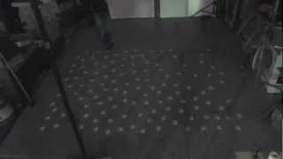 Interactive boids prototype I