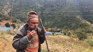 Himalayan Village Life Of Nepal || Village Shepherd Life In Jiree,Jajarkot, Nepal.