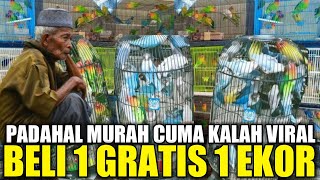 BIKIN SEDIH ! KAKEK INI JUAL PULUHAN LOVEBIRD BELUM LAKU PADAHAL MURAH CUMA JARANG DI EKSPOS