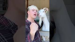 JEDWARD - You’re the GOAT #jedward #fyp