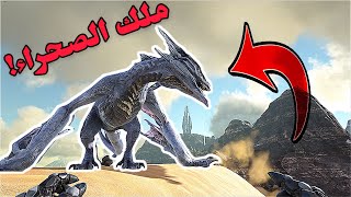 Ark Survival Evolved | الأرض المحروقة: شوية عيد ولكن يسوى التعب! #7