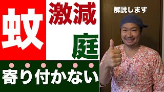 【蚊が逃げる】蚊が嫌いで寄り付かない庭の特徴を解説