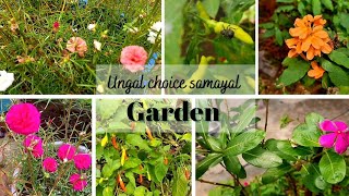 |அழகான சிறிய தோட்டம் சின்ன சின்ன பூக்கள்|beautiful  small garden small small flowers |💐 😍